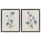 Stupell Industries Blue Botanical Herbs 2pc Floating Frame Set Design by Susan Jill